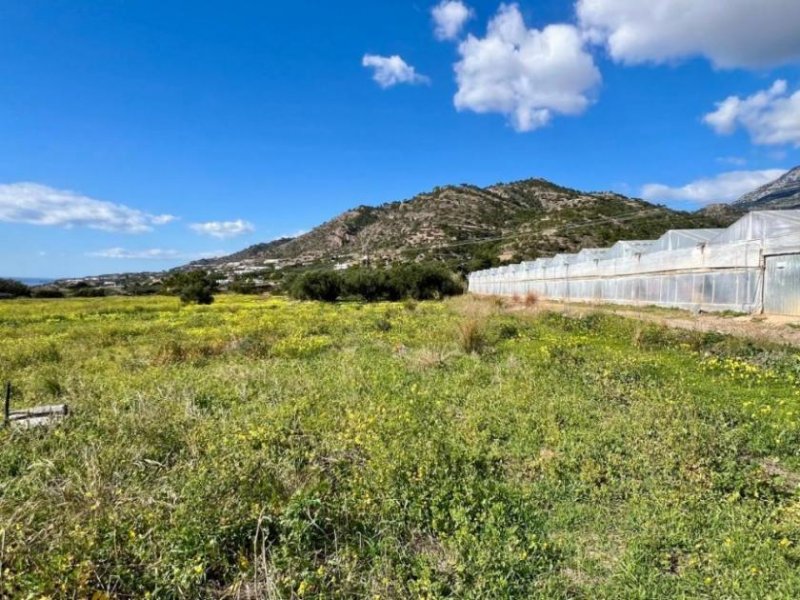 Koutsouras Südkreta, Koutsouras: Baugrundstück mit Meerblick zu verkaufen Grundstück kaufen